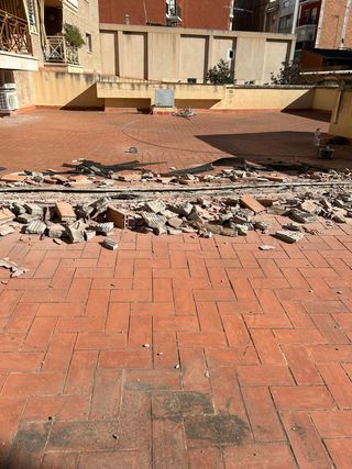 se busca paleta en zona hospitalet y Prat llobrega