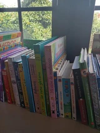 Lote 37 Libros NEGOCIABLES. No envíos.