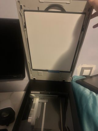 Scanner Epson Perfection V600 Photo