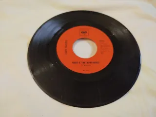 Disco 45 giri 7" Scott McKenzie SAN FRANCISCO