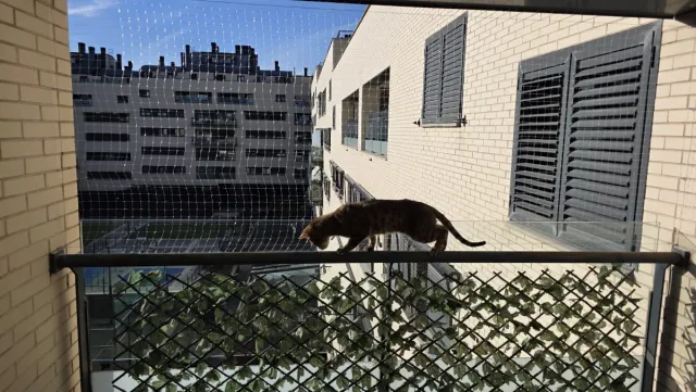 Red gatos instalación malla balcón protección⭐⭐⭐⭐⭐