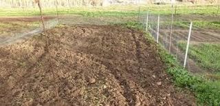 Parcelas de huerto 100 m2