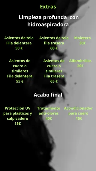 Limpieza de vehículos