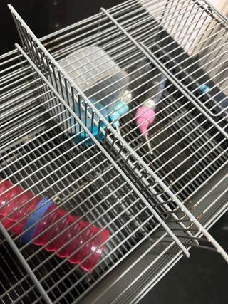 Jaula Hámster Accesorios Incluidos