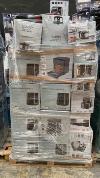 Lotto di Piccoli Elettrodomestici: Friggitrici e Altro