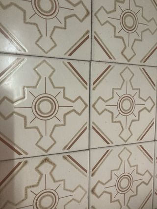Lote de 15 azulejos antiguos decorados