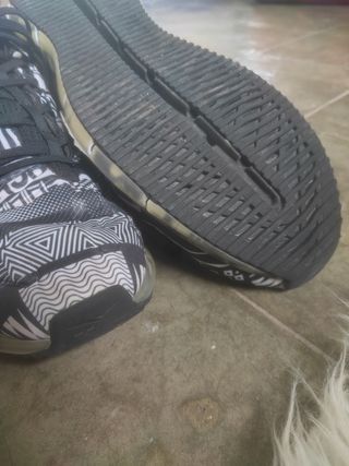 Zapatillas Reebok Zig Kinetica Talla 43