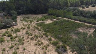 Terreno en venta en Porreres