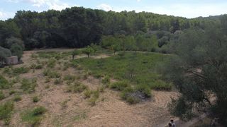 Terreno en venta en Porreres