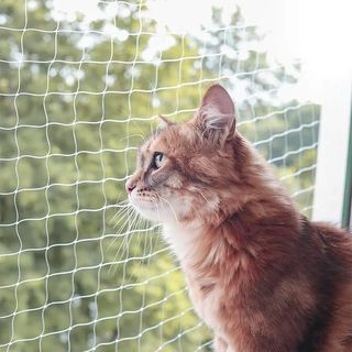 Red malla protectora protección para gatos