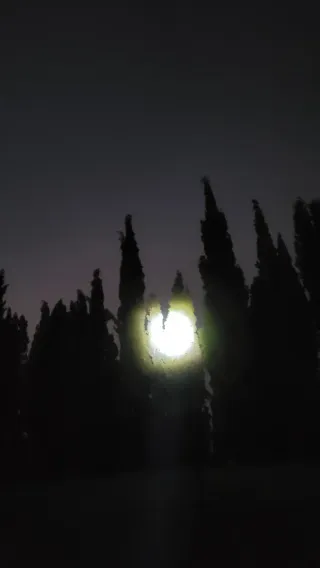 Linterna Táctica pantalla LED Alta Potencia