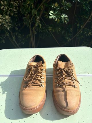 Timberland Cupsole Alpi Beige/Marrón