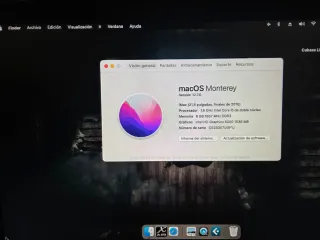 Ordenador iMac Apple Plata