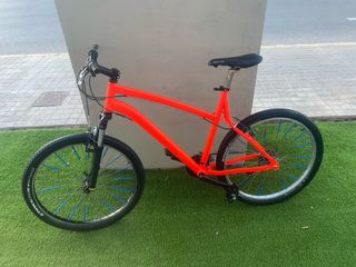 Bicicleta de Montaña