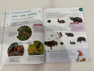 CONEIXEMENT DEL MEDI 3 PRIMARIA CONSTRUINT MONS