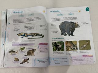 CONEIXEMENT DEL MEDI 3 PRIMARIA CONSTRUINT MONS