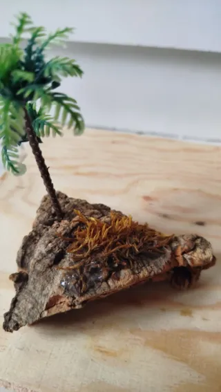 Albero decorativo con palme