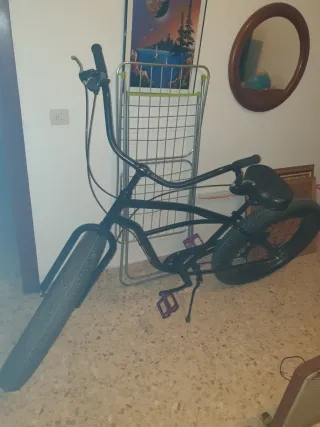 Bicicleta Fat Bike Paseo