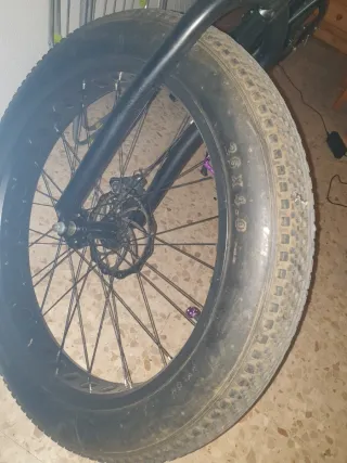 Bicicleta Fat Bike Paseo