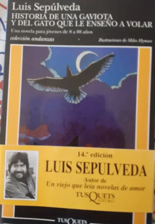 Historia de una gaviota  el gato le enseño a volar