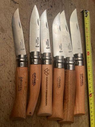 6 Coltelli Opinel Inox in Acciaio