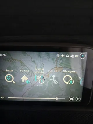 GPS Tomtom con funda y accesorios