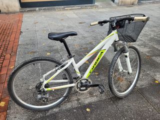 Bicicleta Orbea Paradise Aluminio