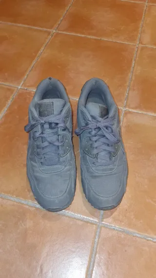Nike Air Max grises