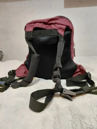 Mochila Quechua Arpénaz 10L