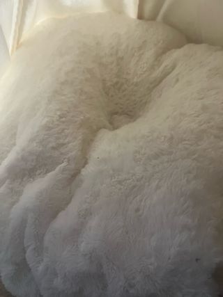 Tipi para perros interior beige