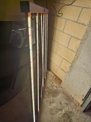 Luz LED cosmos 720W para cultivo