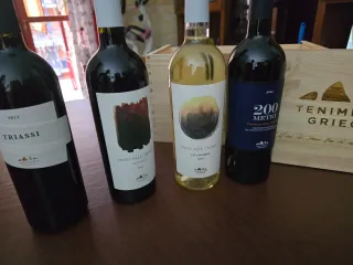 Set 4 bottiglie vino Tenimenti Grieco