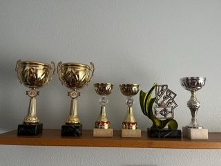 Lote de trofeos dorados y plateados