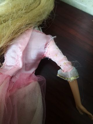 Barbie La Principessa e la Povera