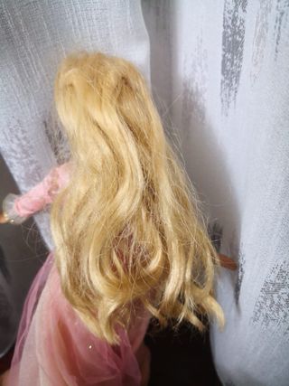 Barbie La Principessa e la Povera