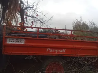 Mula Mecánica con remolque y accesorios