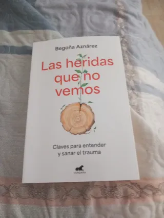 Las heridas que no vemos: Claves para entender ...