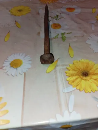 Chiodo antico in ferro battuto