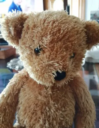 Lote de peluches: Mickey, oso y cojín