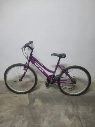 Bicicleta 24 Top Gun Morada