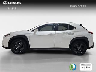Lexus UX 2.0 250h Business