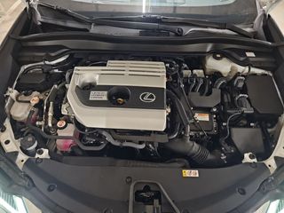 Lexus UX 2.0 250h Business