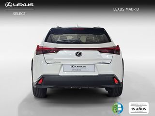 Lexus UX 2.0 250h Business