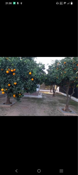 ESPACIOSA PARCELA EN VENTA