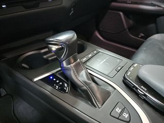 Lexus UX 2.0 250h Premium