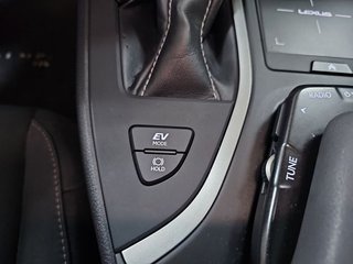 Lexus UX 2.0 250h Premium