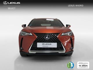Lexus UX 2.0 250h Premium