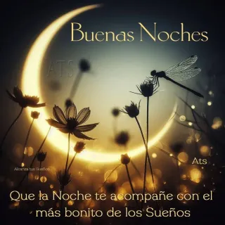 Cuido pisos y viviendaa