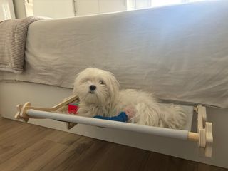 Cama colgante para perro o gato