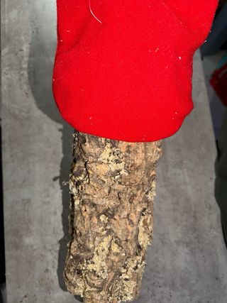 Cagatio de madera con patas